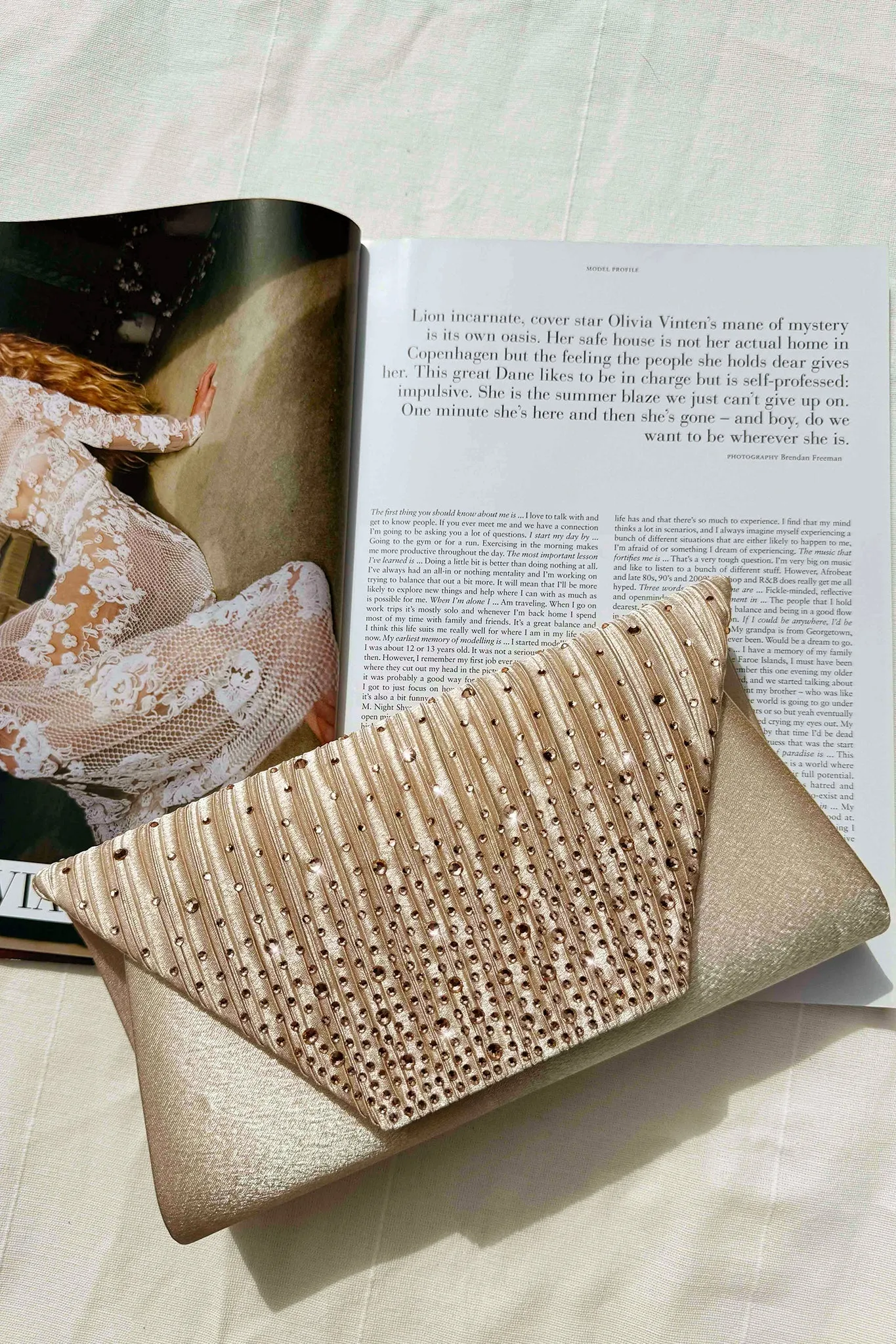 Bejeweled Clutch Bag - Champagne