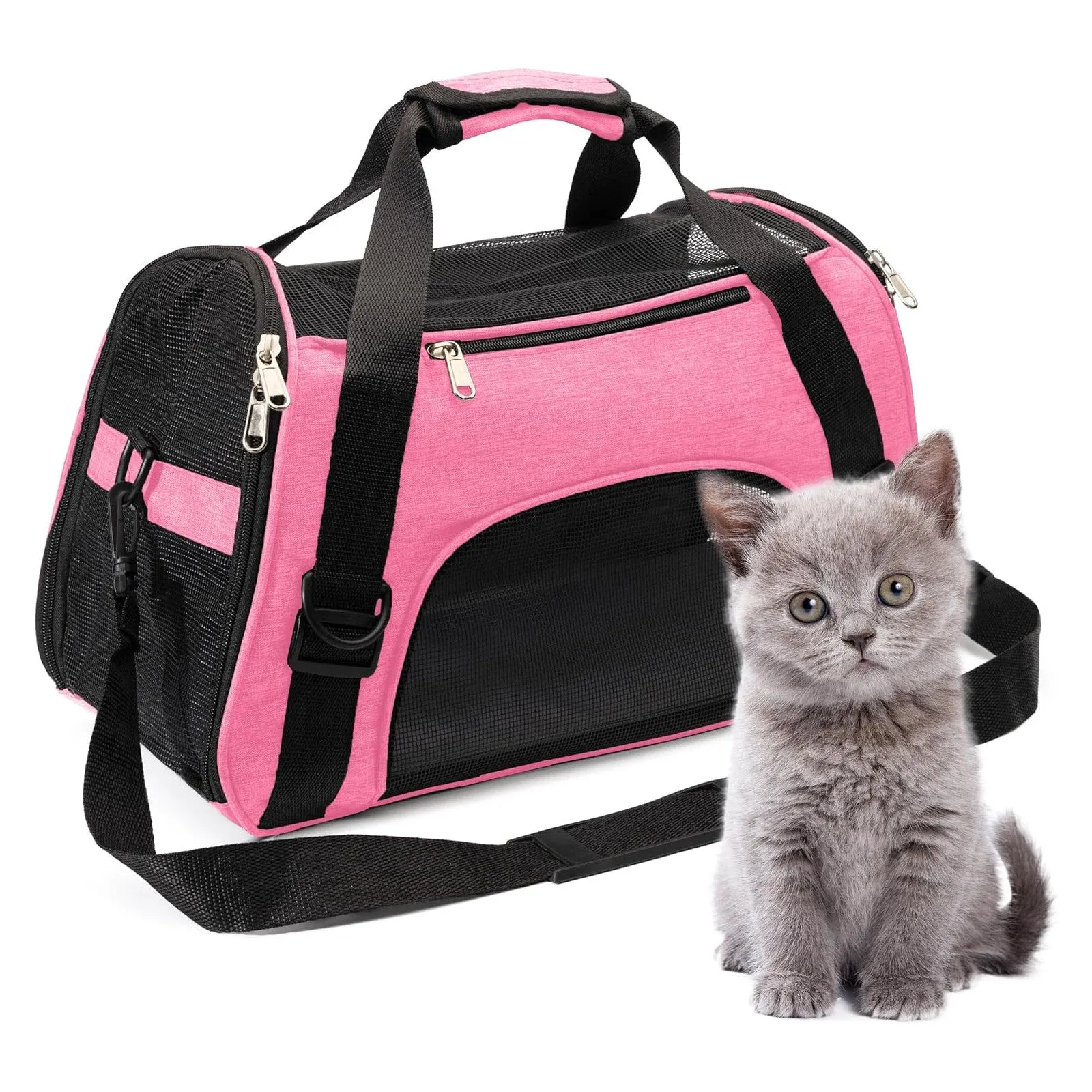 Collapsible Pet Carrier Soft