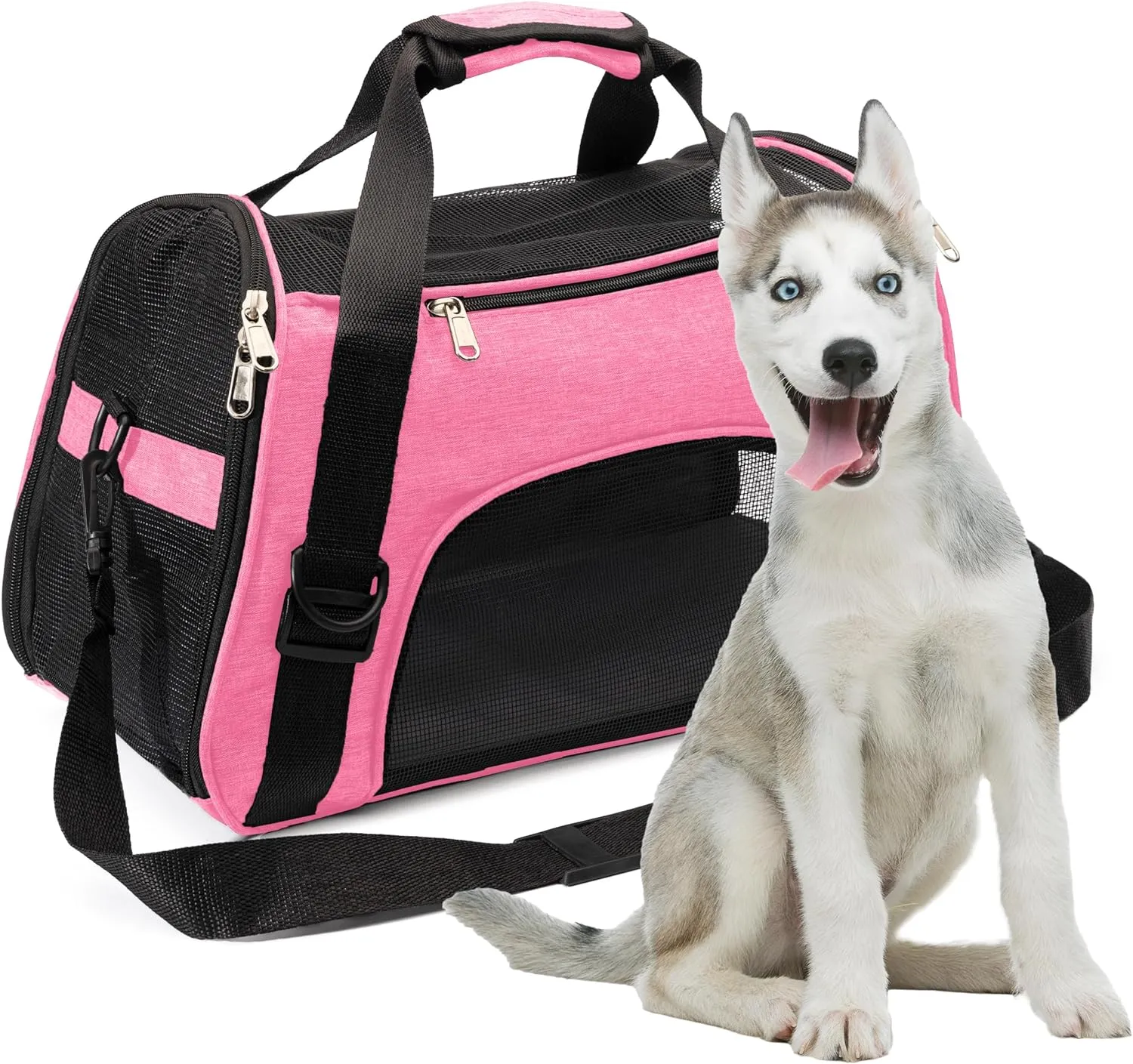 Collapsible Pet Carrier Soft