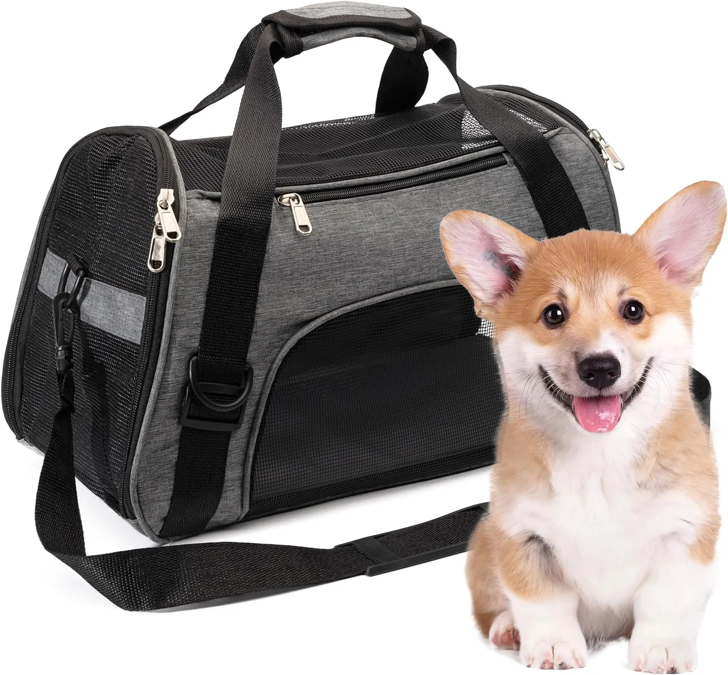 Collapsible Pet Carrier Soft