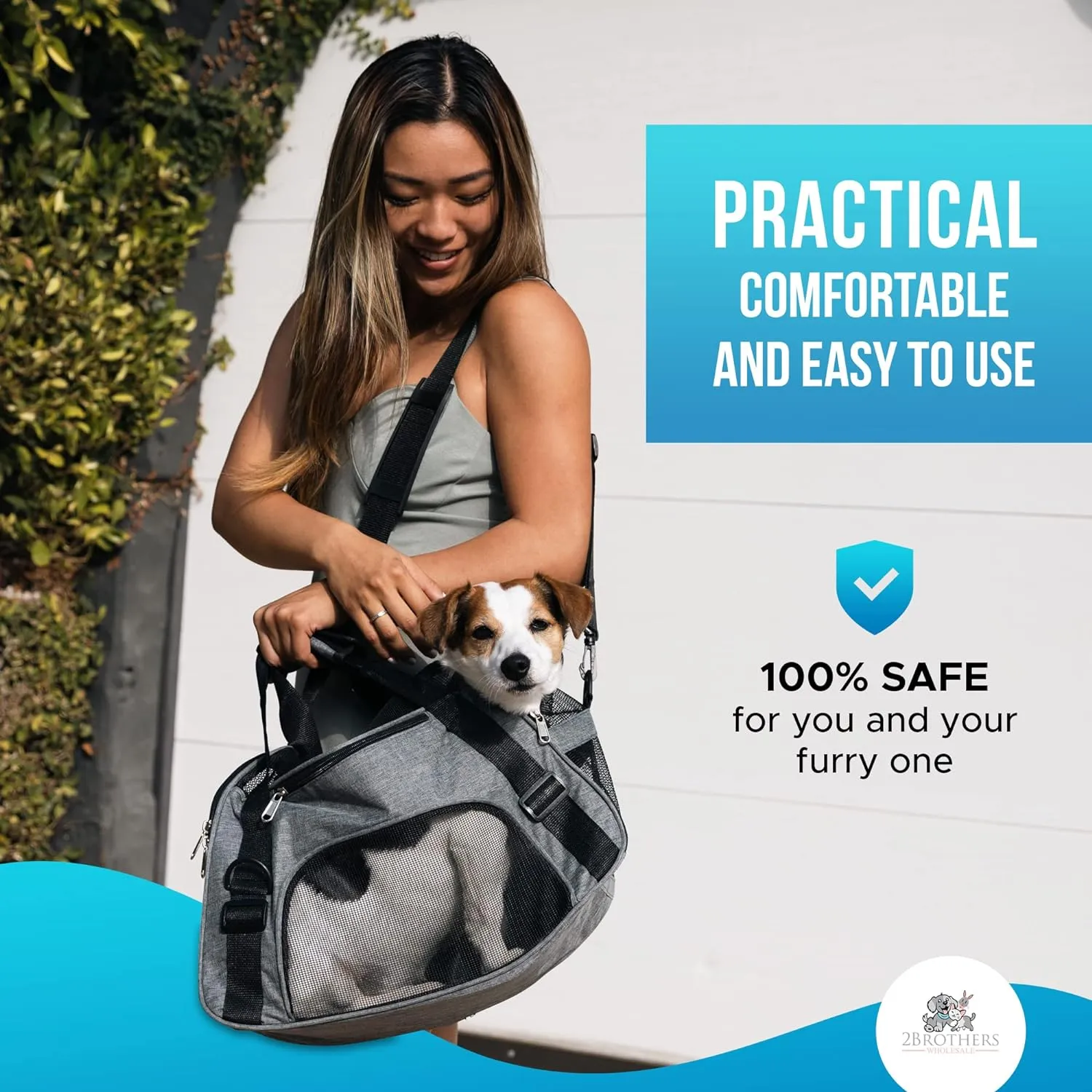 Collapsible Pet Carrier Soft