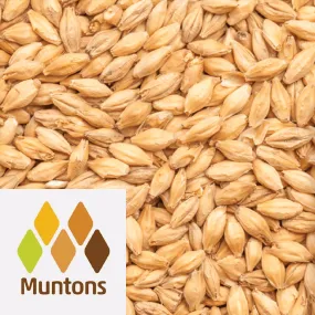 Distillers Malt (Spring) - Muntons (UK) - per kg